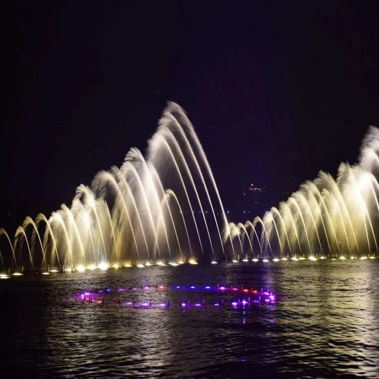 National Park 110 M Dancing Water Show Fountain with RGB Light and Laser Fire