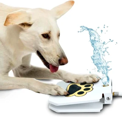 Dog Outdoor Dog Drinking Water Fountain Step on Drinking Spring