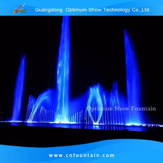 1d 2D 3D Nozzle Music Dancing Water Feature Manufacturer Digital Swing Fountain Floating